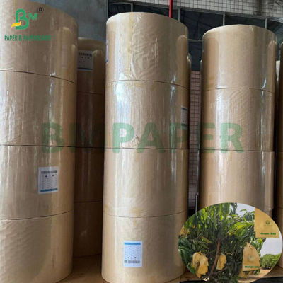 Worek ochronny od uprawy mango Glossy 30gsm Wnętrze czarny papier rolkowy Sunproof