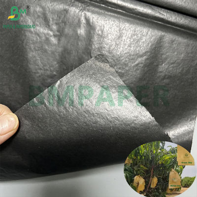 Worek ochronny od uprawy mango Glossy 30gsm Wnętrze czarny papier rolkowy Sunproof