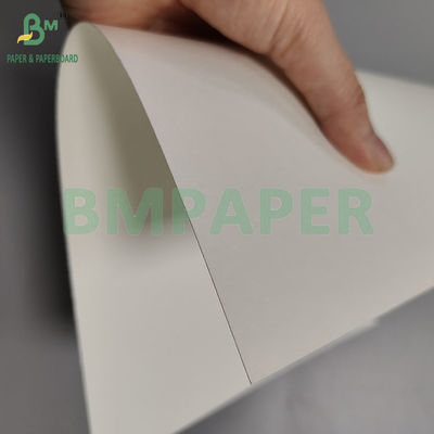 230 gm+18pe jednorazowy papier kubkowy P2S do picia gorących i zimnych napojów