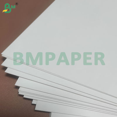135-350 GSM Papierowa rolka do zbiorników żywności o wysokiej sztywności do misek papierowych