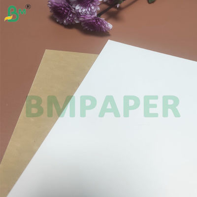 135-350 GSM Papierowa rolka do zbiorników żywności o wysokiej sztywności do misek papierowych