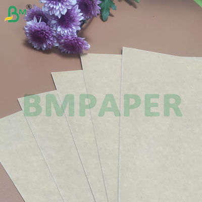 135-350 GSM Papierowa rolka do zbiorników żywności o wysokiej sztywności do misek papierowych