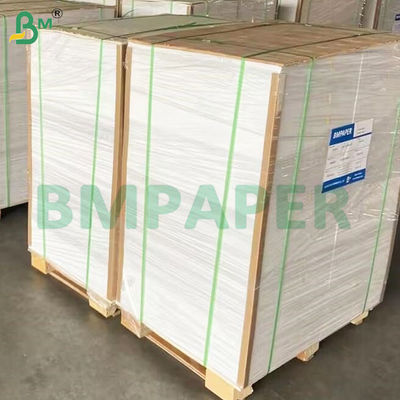 135-350 GSM Papierowa rolka do zbiorników żywności o wysokiej sztywności do misek papierowych