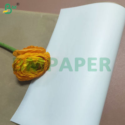 Płyty z papieru kuchennego powlekane silikonowo z podwójnymi stronami