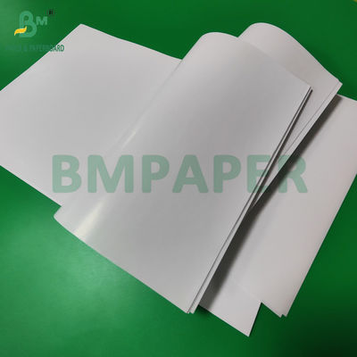 80 gm 120 gm C1S Gloss Coated Art Paper For Label Good Printability 70 x 100cm