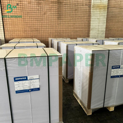 80 gm 120 gm C1S Gloss Coated Art Paper For Label Good Printability 70 x 100cm