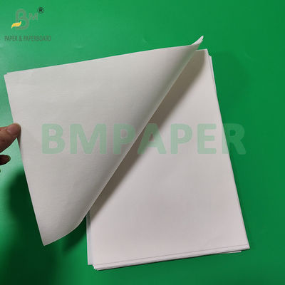 50 gm 328 mm Biały i brązowy papier z resztkami filtra kawy