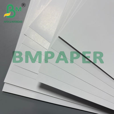 180gm C2S Glossy Coated Paper Book Printer Art Card 70 * 100cm