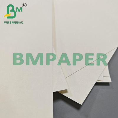 210 gm 230 gm Biodegradowalny Papier na gorące filiżanki do kawy i herbaty