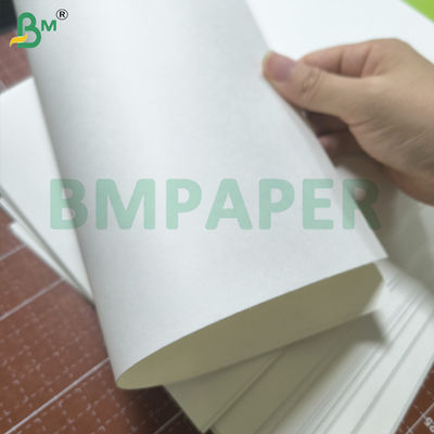 Liquid - Resistant White Bowl Paper With Polyethylene Coating One Side (Papier o odporności na ciekłe białe miski z polietylenem na jednej stronie)