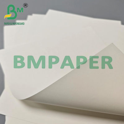 230g + 15gPE Wodotwórcza Barry Coffee Hot Cupstock Paper Board
