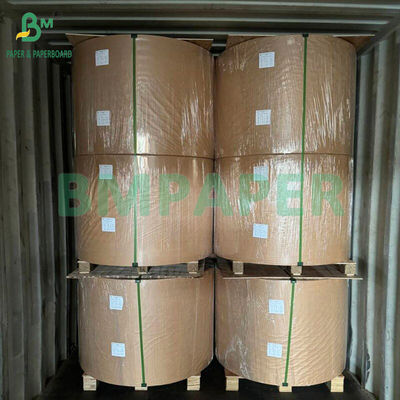 50 gm Papier filtracyjny do kawy niepowlekany