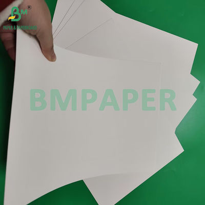 210 gm 230 gm 15 g PE Matte Coating White Cup Paper Do produkcji kubków do kawy