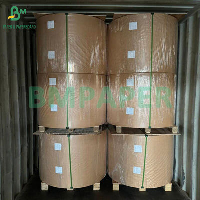 210 gm 230 gm 15 g PE Matte Coating White Cup Paper Do produkcji kubków do kawy