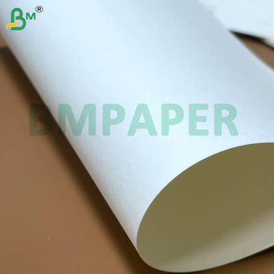 Płytka papierowa z miskami z makaronem 700 mm x 1000 mm 200 g + 20 g PE powlekane