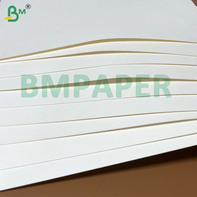 Płytka papierowa z miskami z makaronem 700 mm x 1000 mm 200 g + 20 g PE powlekane