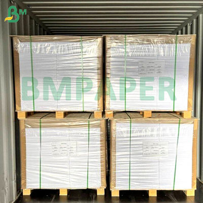 Płytka papierowa z miskami z makaronem 700 mm x 1000 mm 200 g + 20 g PE powlekane