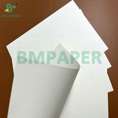 240 g 260 g czystej celulozy drukowalnej CupStock Papier do robienia kubków do kawy 90cm 105cm