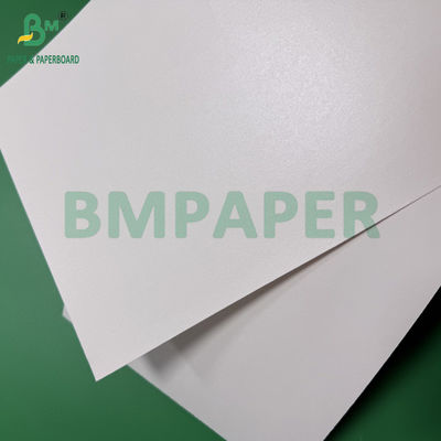260g 280g + 10g Biodegradowalny Papier powlekany wodnym bez tworzyw sztucznych do kubków