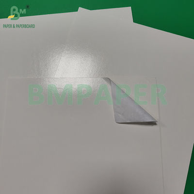300+15 gm Glossy Pe Coated Food Grade White Paperboard Opakowanie Produkty mrożone