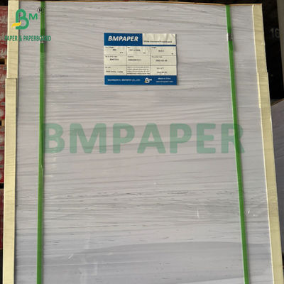 240g +15PE powlekany papier na kubki z jednej strony do kubków 31 x 43 cali wodoodporny 100%