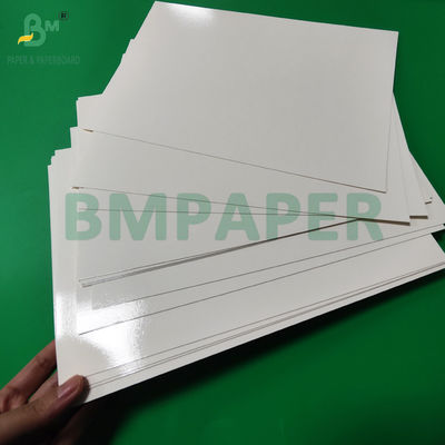 300 g PET laminowane talerze pokarmowe papierowe rolki 635 mm wysokiej temperatury