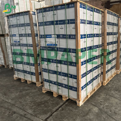 Specjalny papier bezdrzewny z powłoką do formularzy biznesowych 2-częściowych, 3-częściowych i 4-częściowych