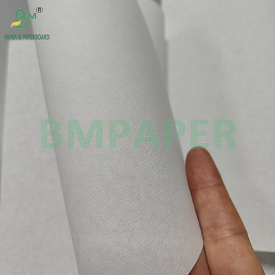 35gsm 50gsm Biały i brązowy papier filtracyjny z pulpy bambusowej do kawy filtrowanej