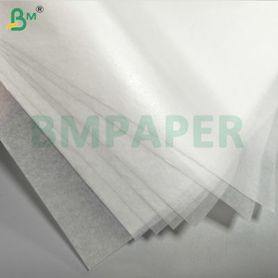 Papierowy worek ochronny dla owoców i warzyw wodoodporny, z dala od szkodników i ptaków