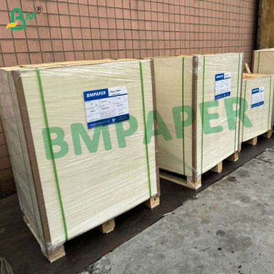 Papierowy worek ochronny dla owoców i warzyw wodoodporny, z dala od szkodników i ptaków