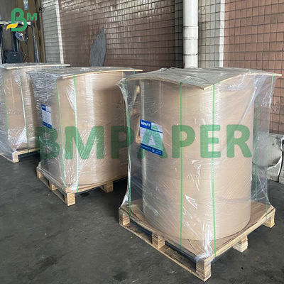 Papierowy worek ochronny dla owoców i warzyw wodoodporny, z dala od szkodników i ptaków