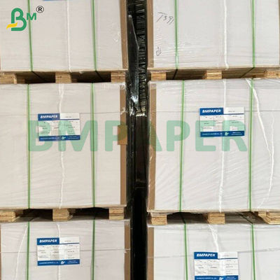 50g Good Filtering Effect Food Grade Coffee Filter Paper Sheets