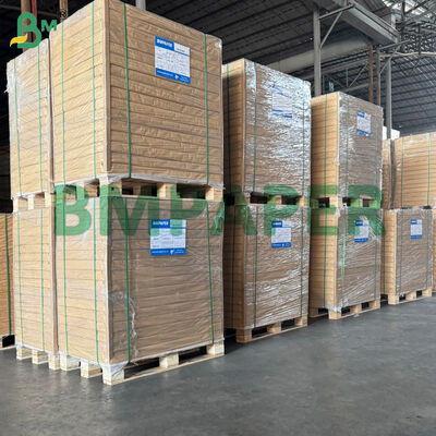 PET powłoka kartonu odpornego na ciepło dla jednorazowej płyty papierowej