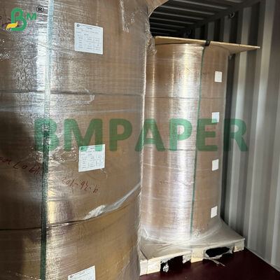 Papier specjalistyczny dla naczyń i naczyń spożywczych, pokryty PET