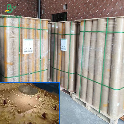 Papier chłonny dla kurcząt o gramaturze 40-110 gsm, brązowy, o szerokości 34 i 36 cali