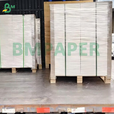 100 funtów 270 gramów biała, niepowleczona, gładka tablica bristolowa 22" x 30"