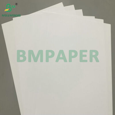 High Opacity Double-Sided 75gsm 80gsm Digital Printing Paper Ideal for Brochures & Catalogues