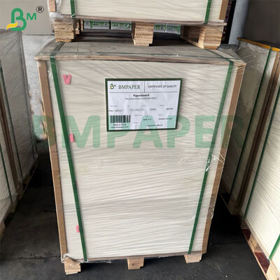 Arkusz papieru z niebielonej pulpy z trzciny cukrowej o gramaturze 300 g / m2, certyfikowany biodegradowalnie, 787 mm x 1092 mm