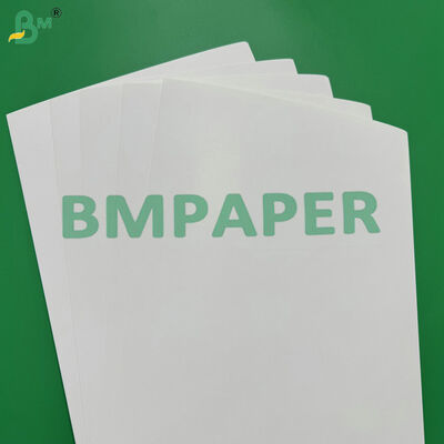 Wodotwórcza i tłuszczoodporna C1S 275 gm + 15 g kartonu powlekanego PE do opakowań spożywczych