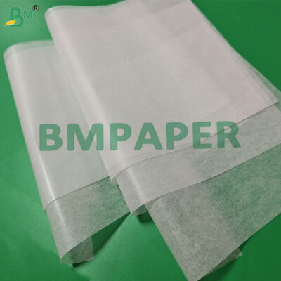 20 g papieru Cebolla Tortilla Separator Paper Non Stick 12' x 12'