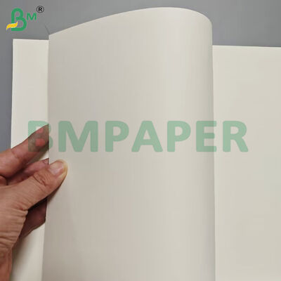 Żywność Pojemnik do żywności Arkusze z papieru 190 gm + powłoka PE