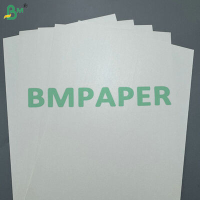 Papier powlekany PLA o gramaturze 170-400 g/m² do kubków kompostowalnych na napoje gorące i zimne
