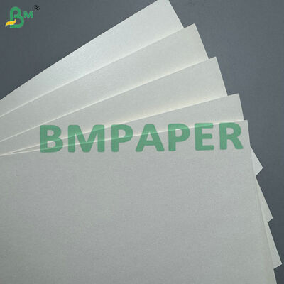 Papier powlekany PLA o gramaturze 170-400 g/m² do kubków kompostowalnych na napoje gorące i zimne