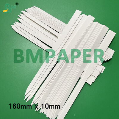 Białe paski testowe zapachowe, płyta chłonna 160mm X 10mm 170mm X 9mm