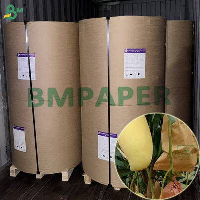 Podwójna warstwa wodoodporna 56gm papier ochronny z owoców do pakowania Mango 450mm